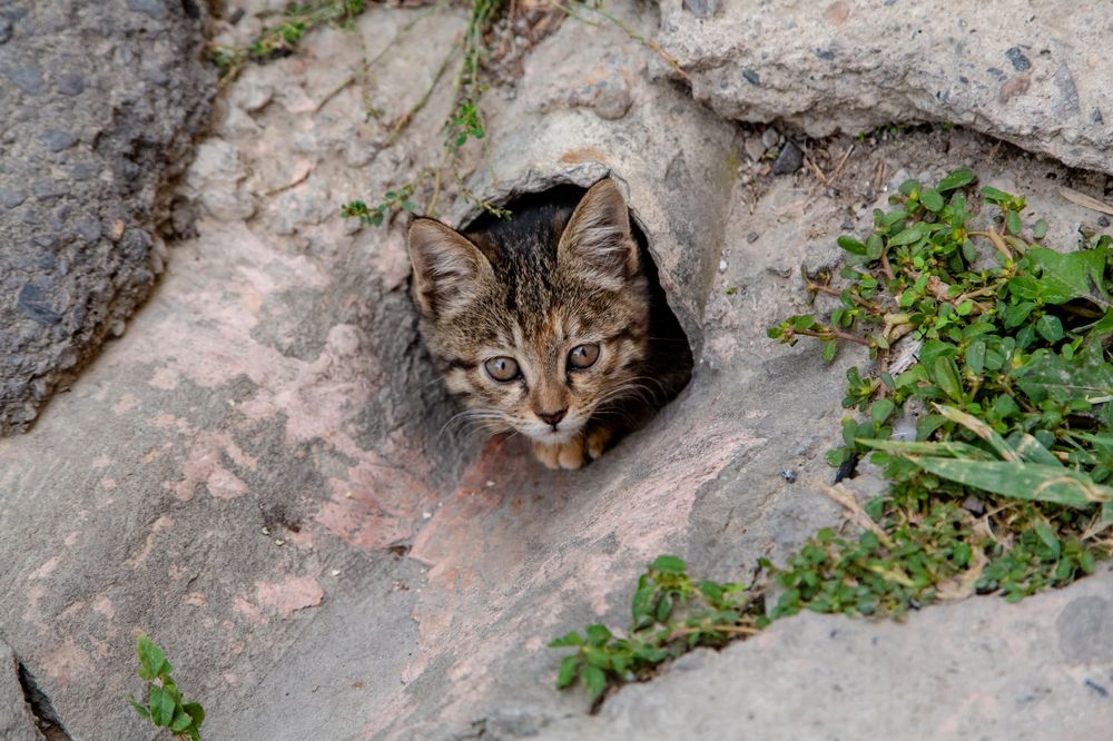 Photograph by Семенов Александр