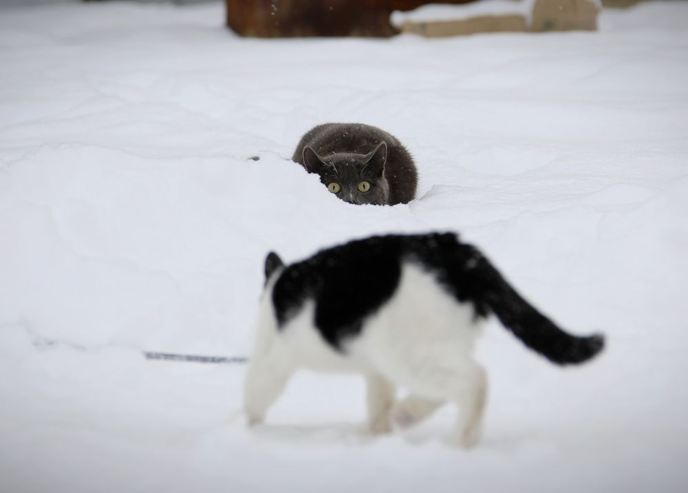 Photograph by Эдуард Герасимов