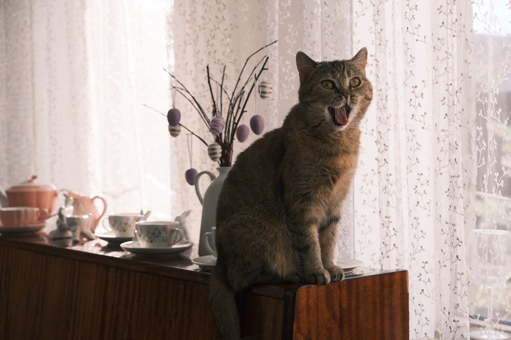 Photograph by Яна Истоцкая