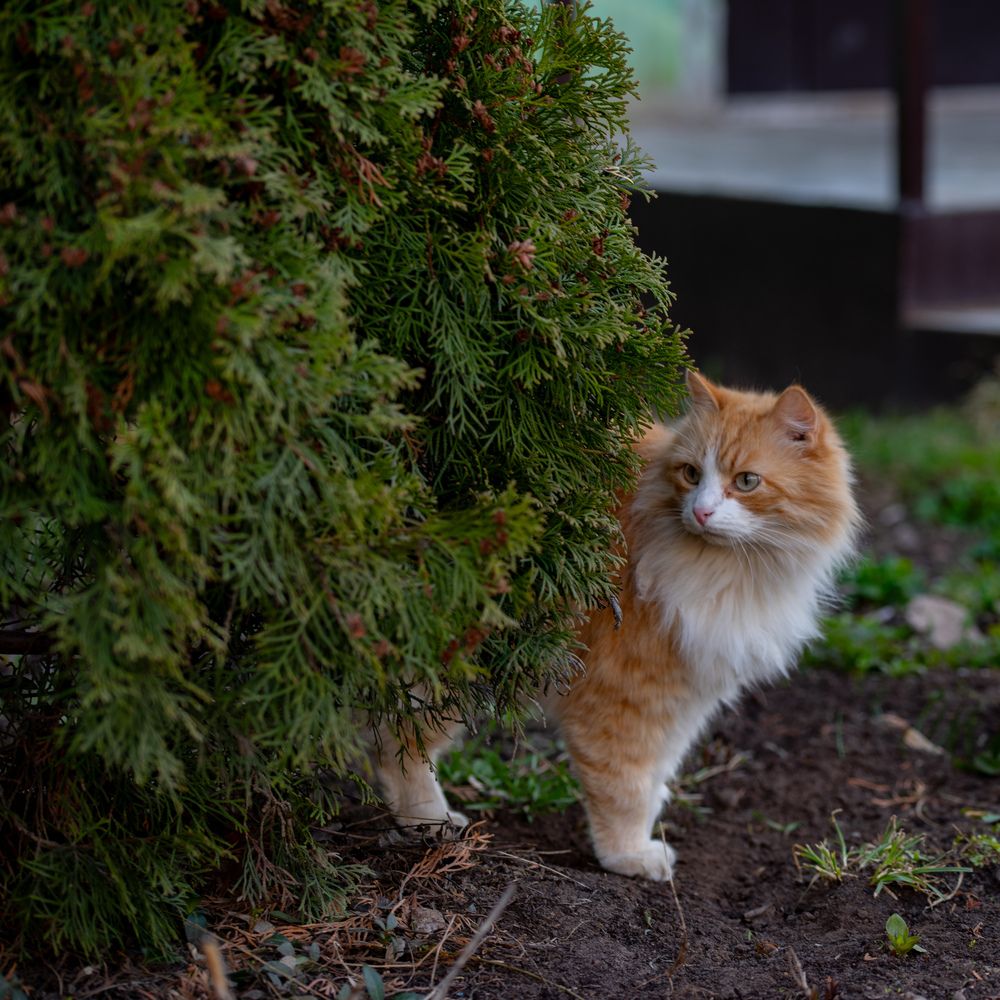 Photograph by Ксения Шилина