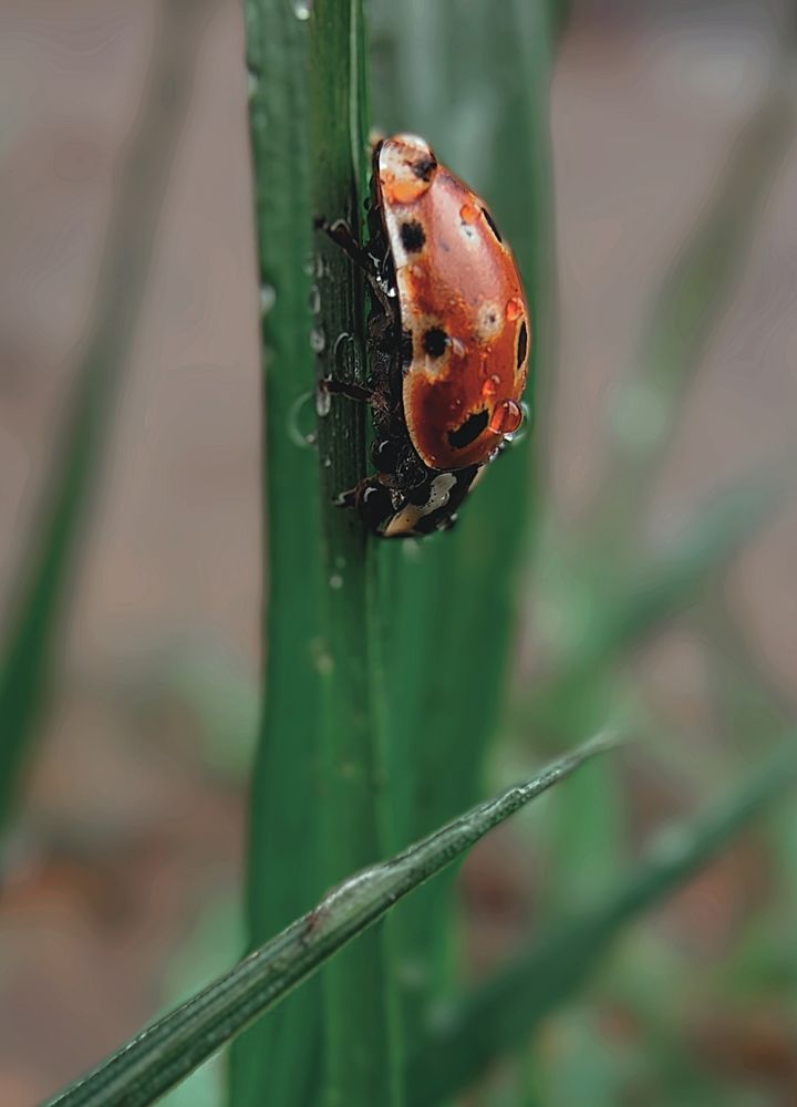 Фотография автора Nikita Ostarkov