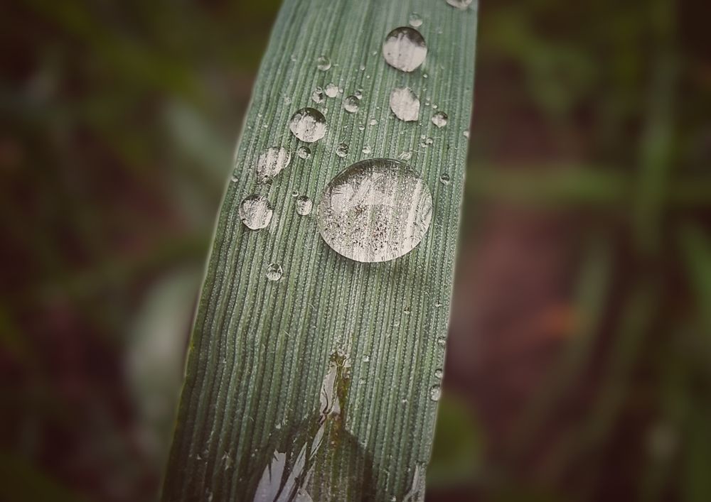 Photograph by Nikita Ostarkov