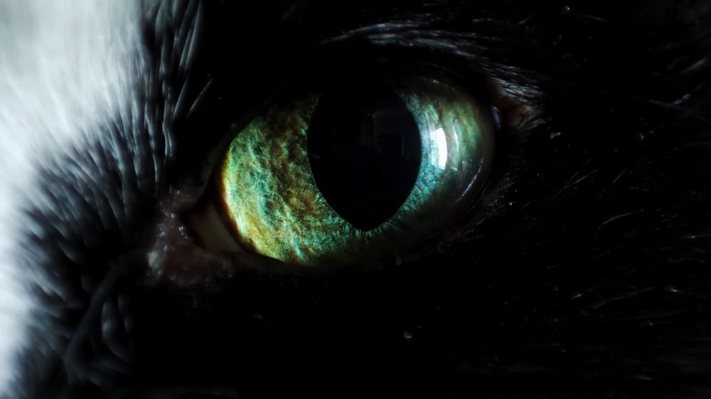 Photograph by Калюнова Наталья