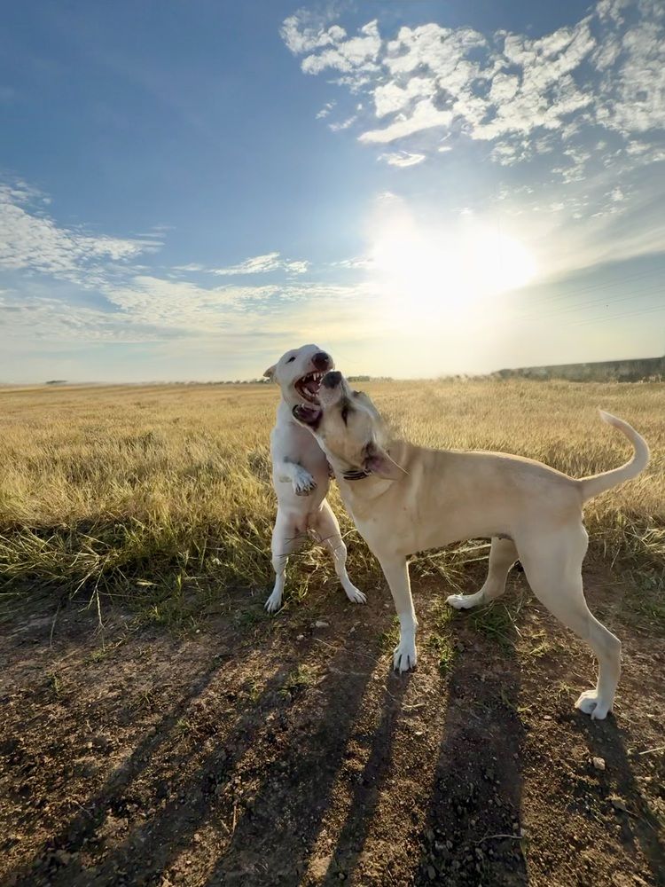 Photograph by Мария