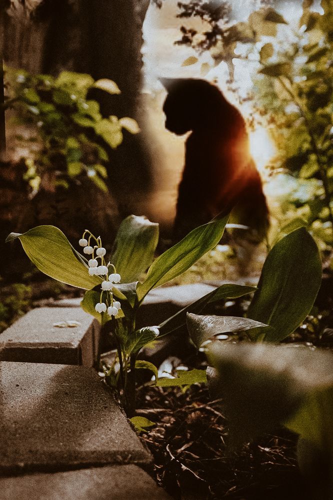 Photograph by Ole Lukoe