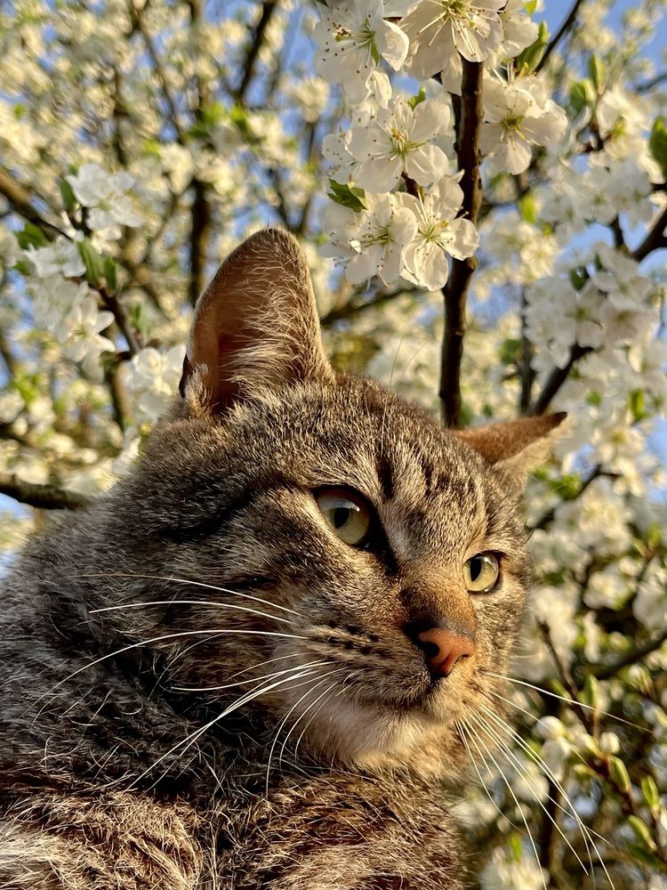 Photograph by Екатерина Павловец