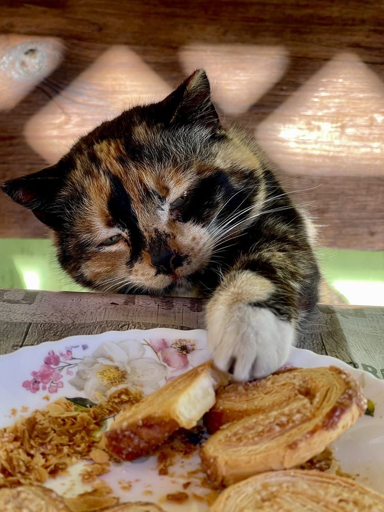 Photograph by Екатерина Павловец