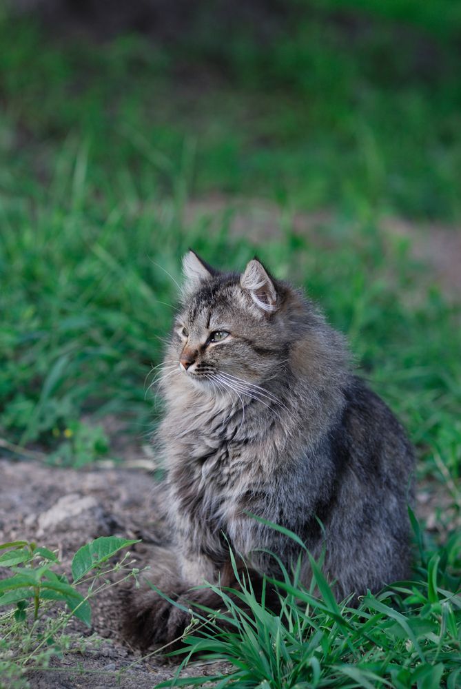 Фотография автора Дмитрий Referee