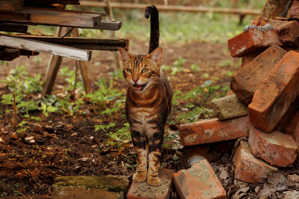 Фотография автора Aleksandr P.