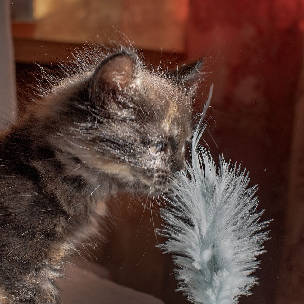 Photograph by Ада Авдонина