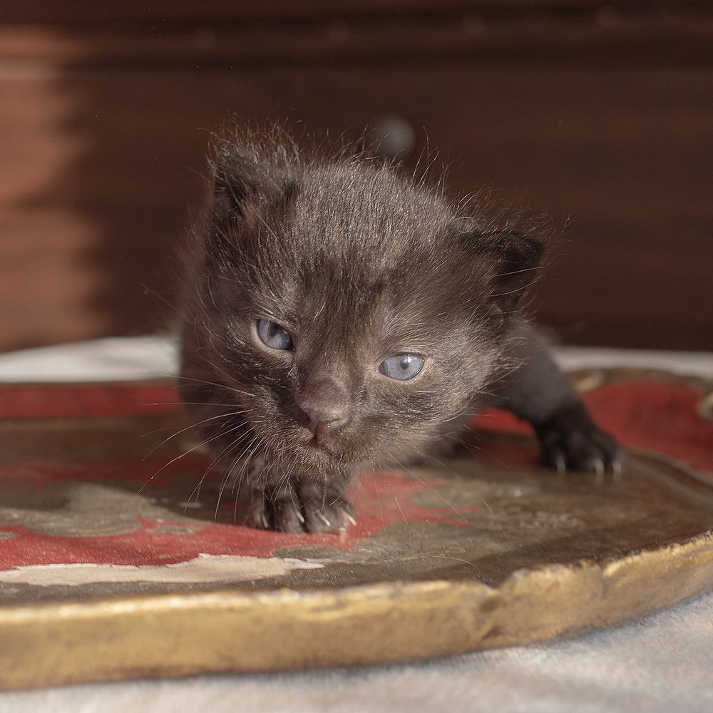 Photograph by Ада Авдонина