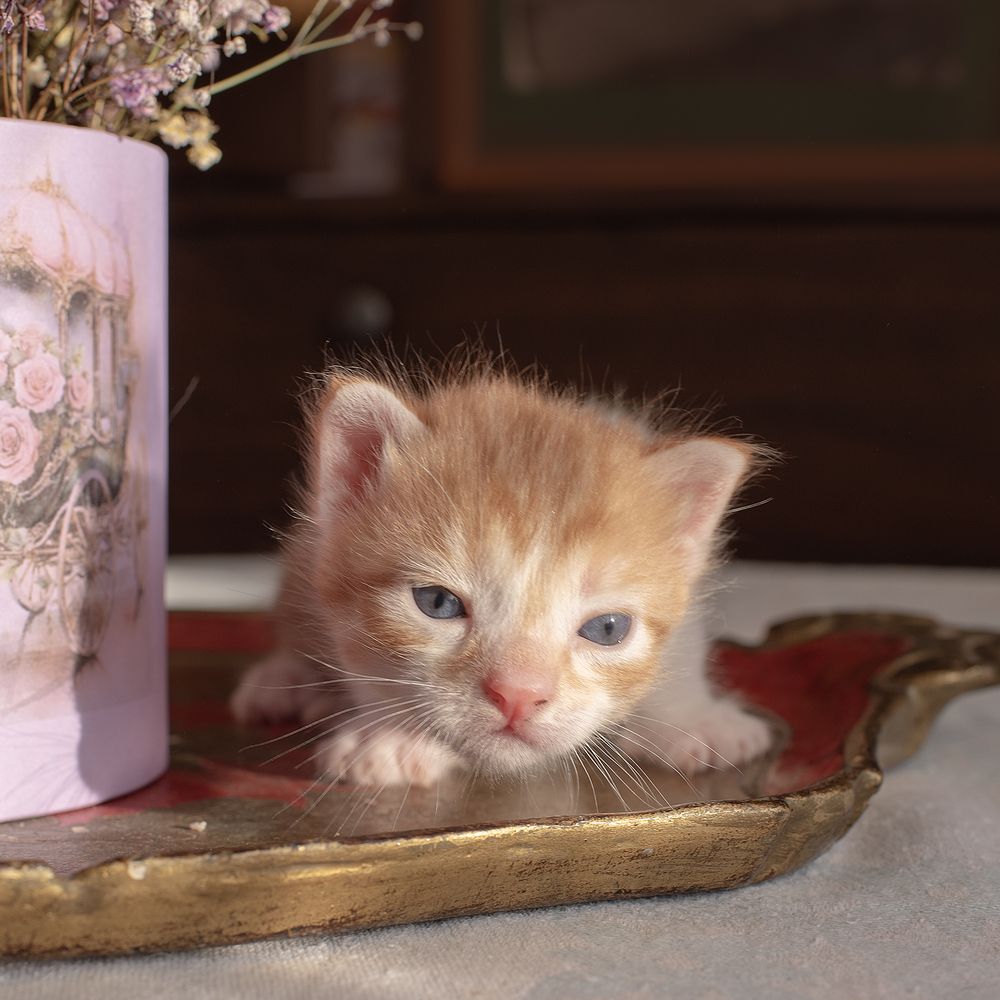 Photograph by Ада Авдонина