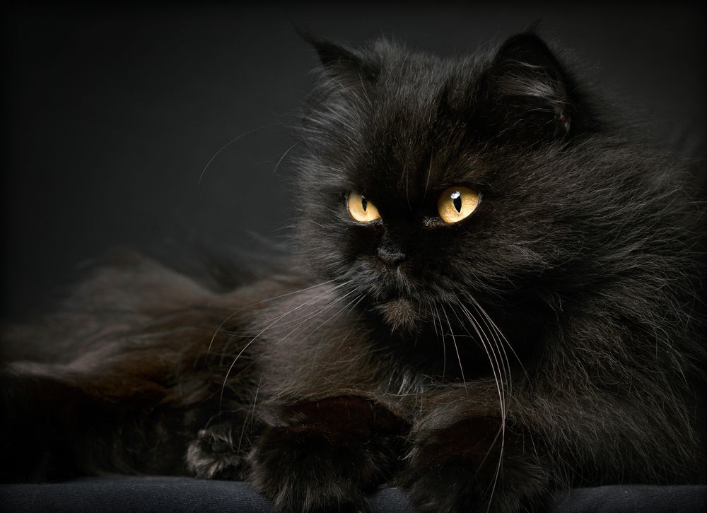 Photograph by Валерий Коновалов