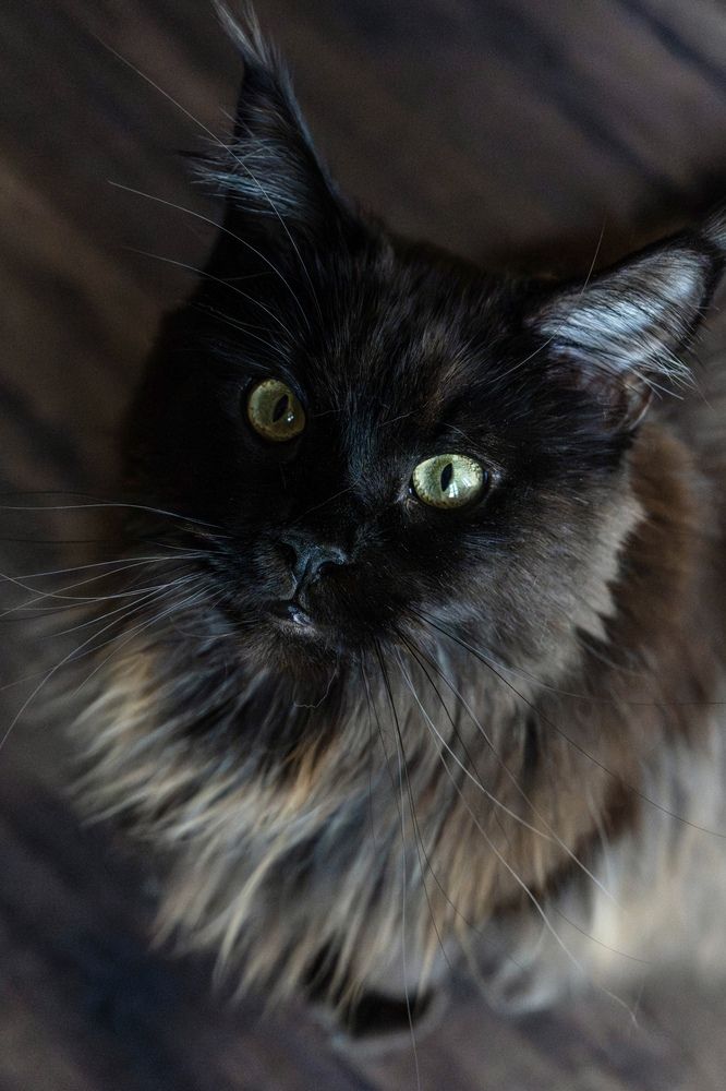 Photograph by Олеся Легостаева