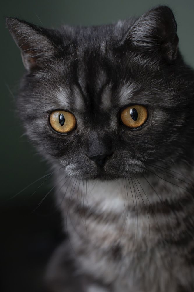 Photograph by Олеся Легостаева