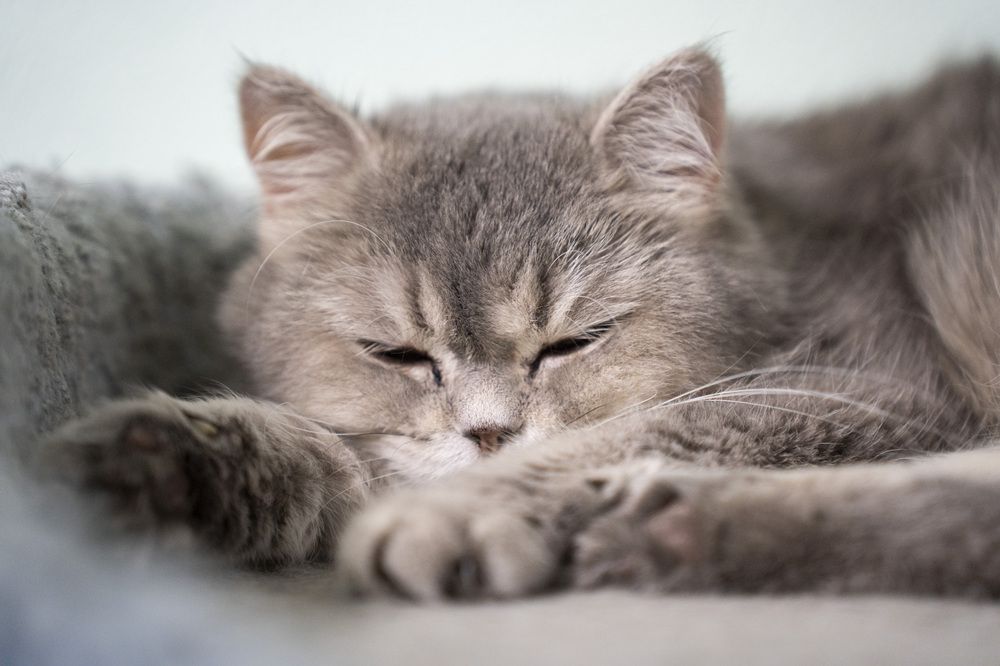 Photograph by Олеся Легостаева