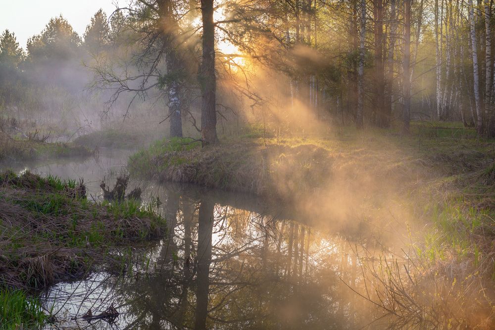 Photograph by Алексеев Дмитрий