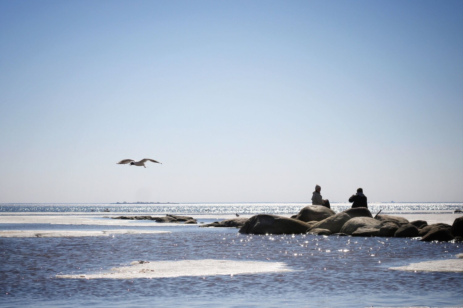 Photo #12215026