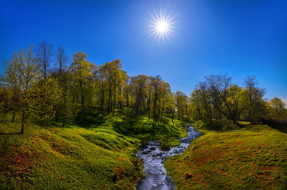 Ораниенбаум III