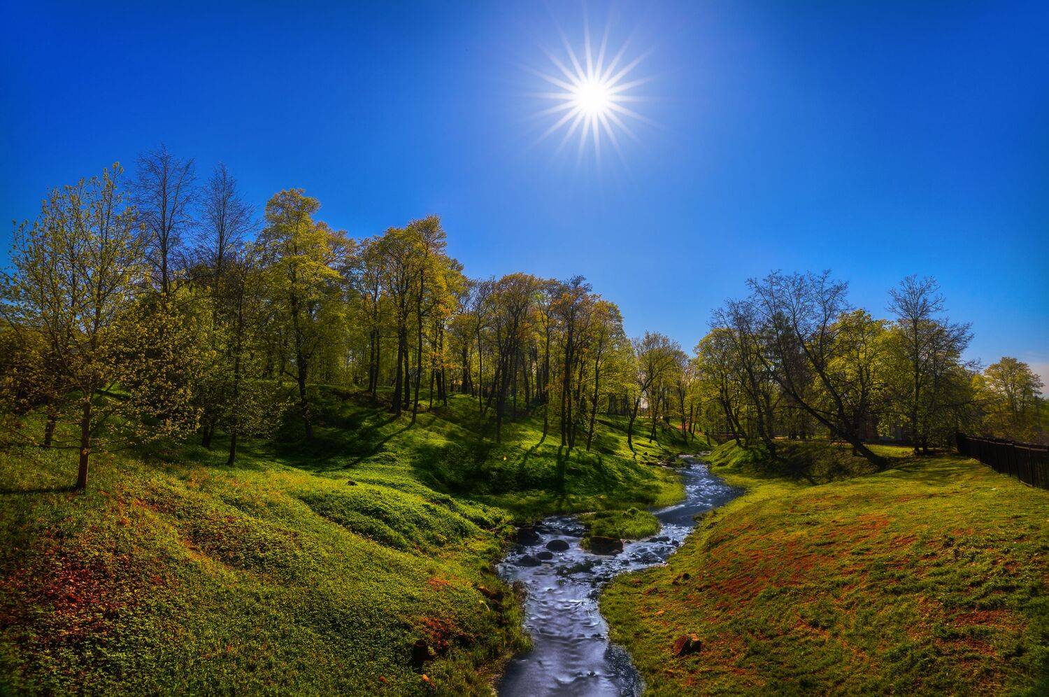 Ораниенбаум III