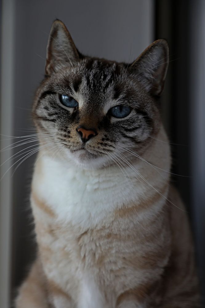 Photograph by Кульчицкий Андрей