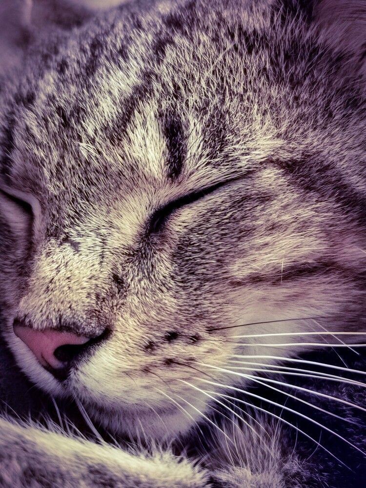 Фотография автора Ian Heard