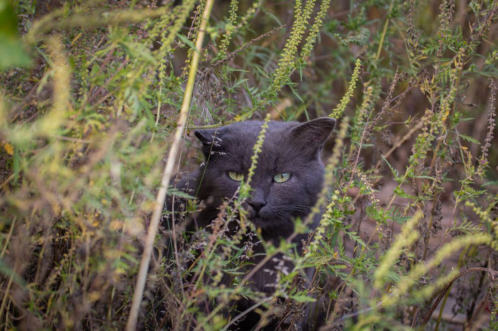 Photograph by Кульчицкий Андрей