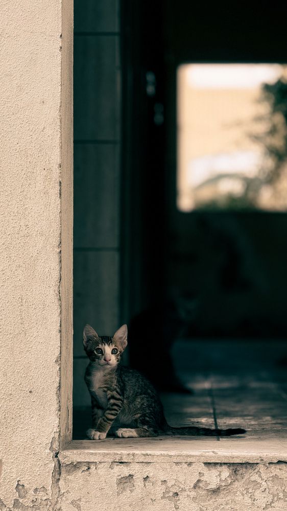 Photograph by Joemon Babu