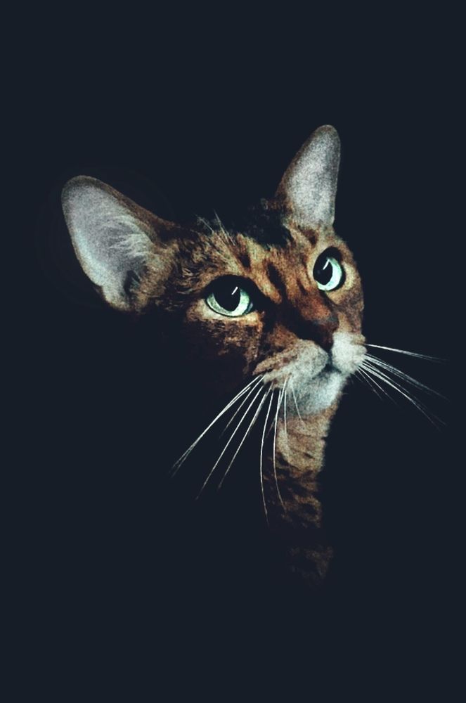 Photograph by Светлана Моисеева