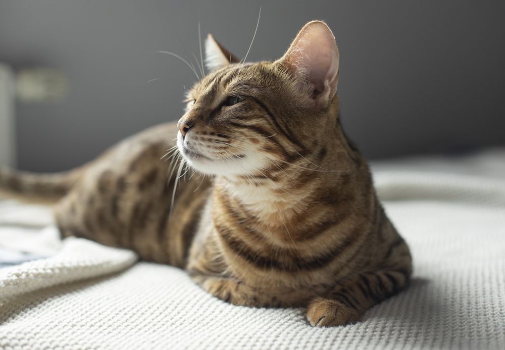 Photograph by Татьяна Дрозд