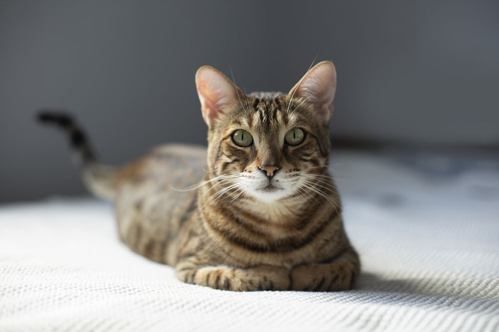 Photograph by Татьяна Дрозд