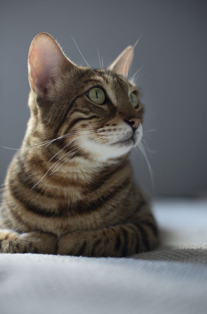 Photograph by Татьяна Дрозд