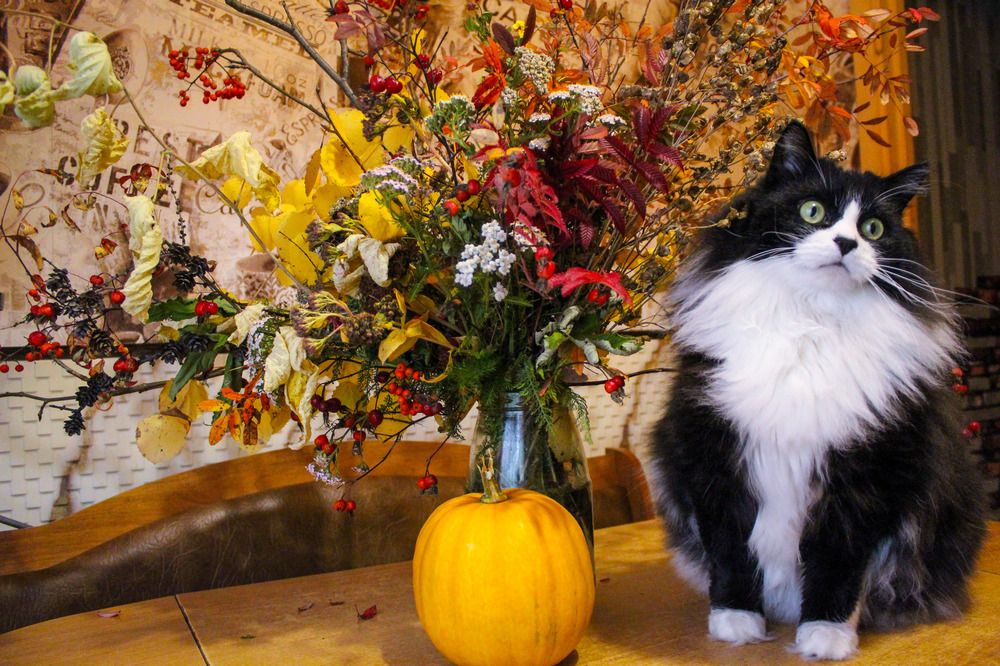 Photograph by Михаил Мархинин