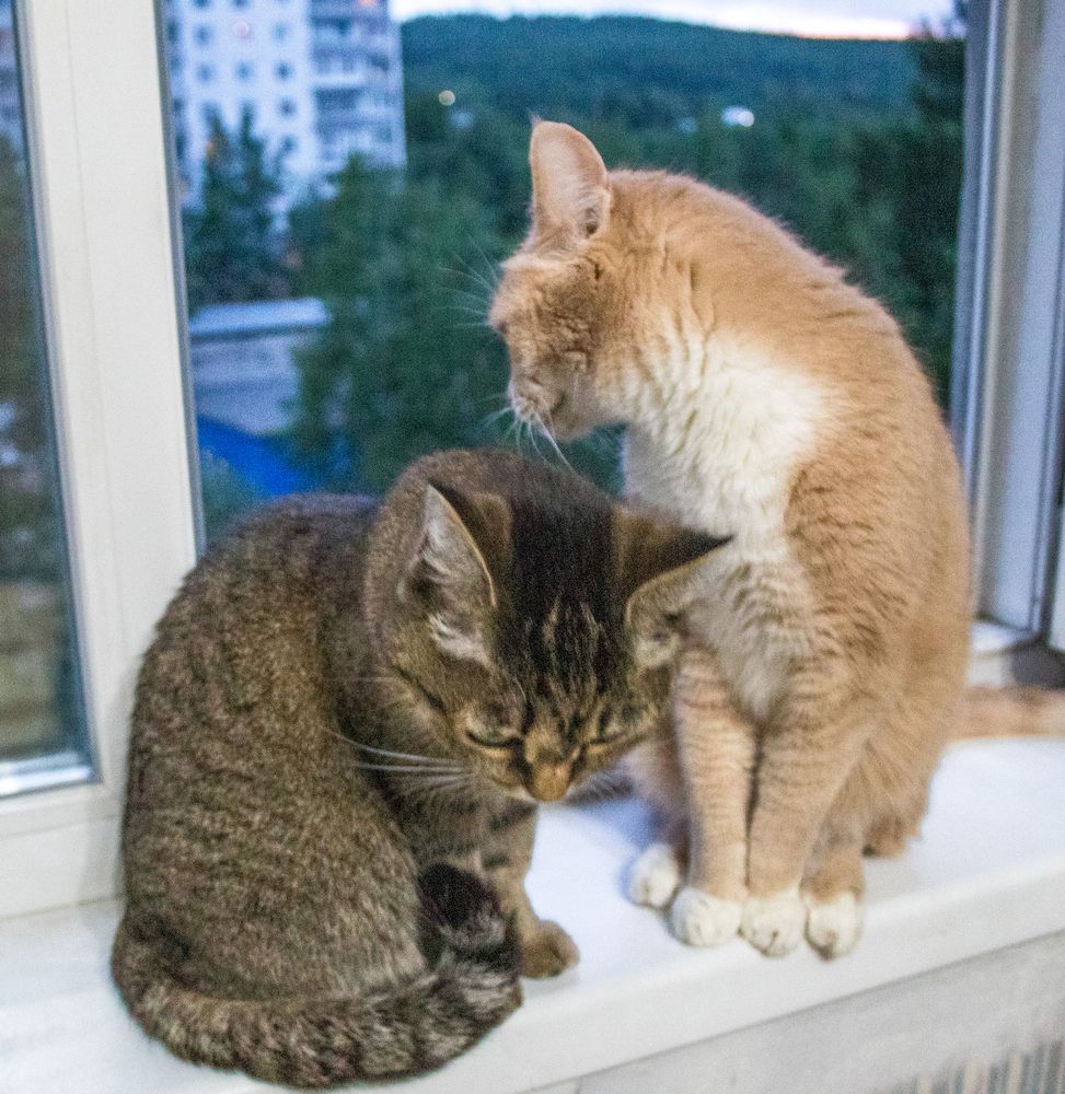 Photograph by Михаил Мархинин