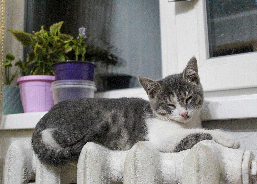 Photograph by Михаил Мархинин