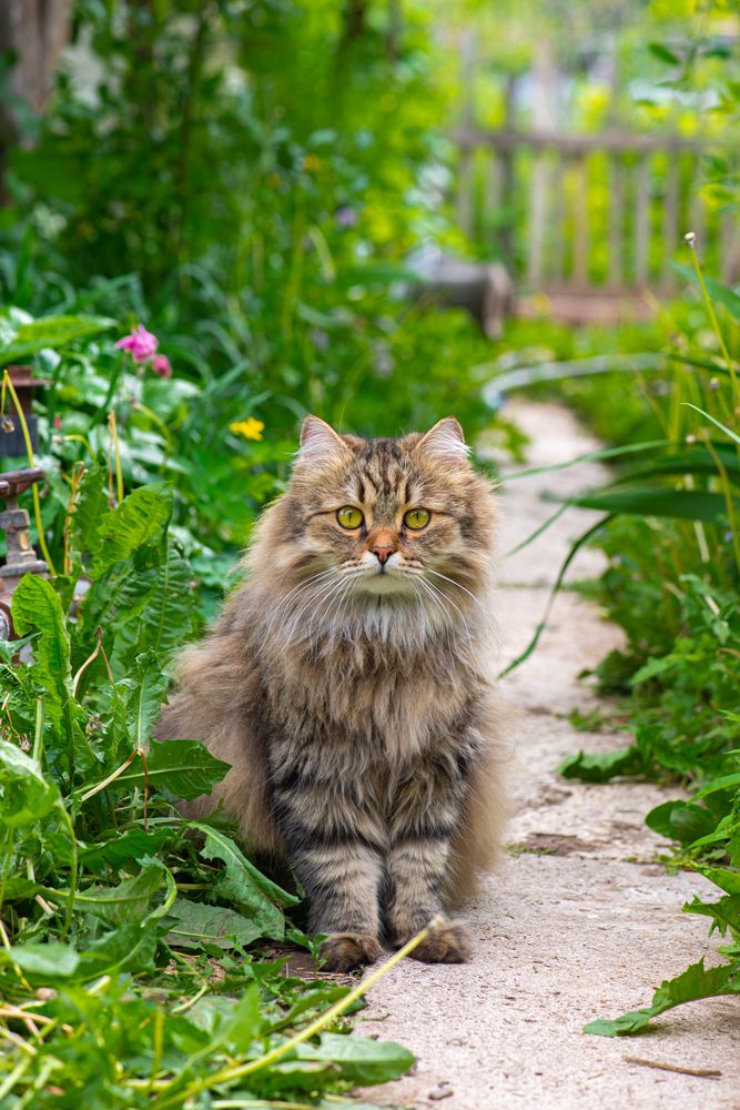 Photograph by Darina