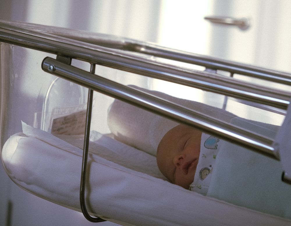 Photograph by Дарья