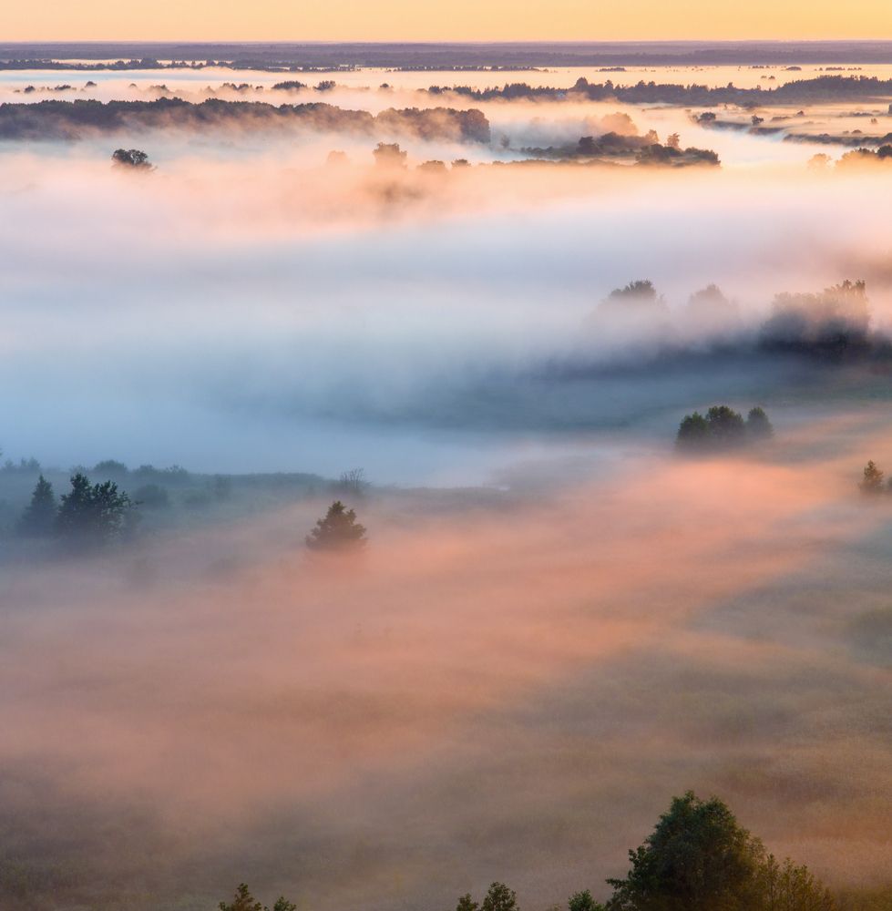Photograph by Алексеев Дмитрий