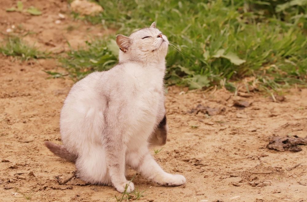 Photograph by Alexei Kriptozoy