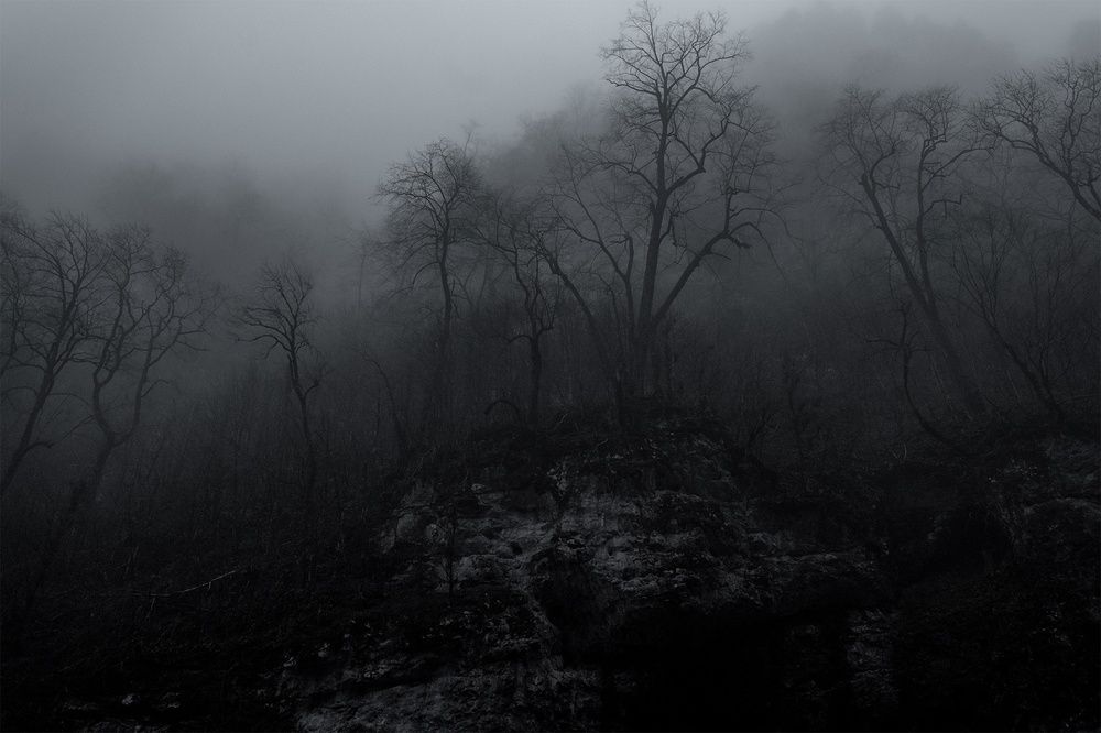 Фотография автора Сергей Василенко