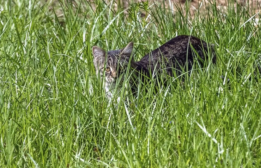 Photograph by Валерий Клейменов