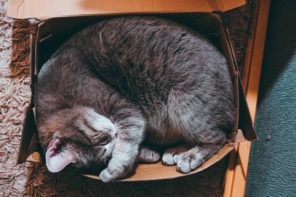 Photograph by Константин Рубис