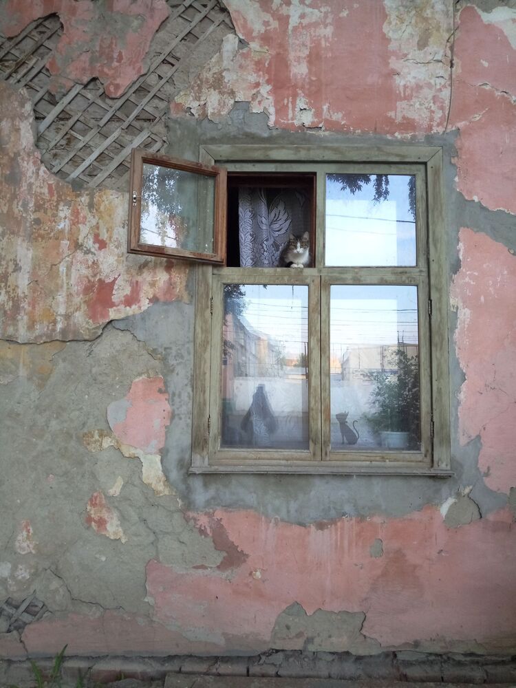 Photograph by Ольга Иванова