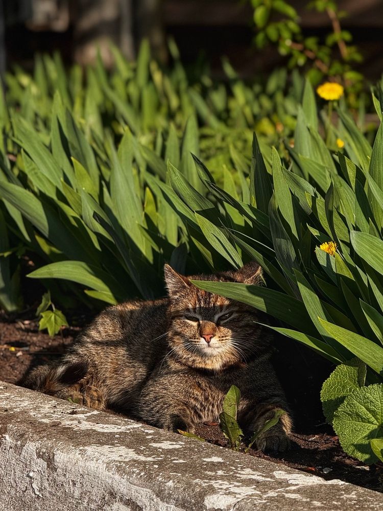 Photograph by Zhanna Kolesnikova