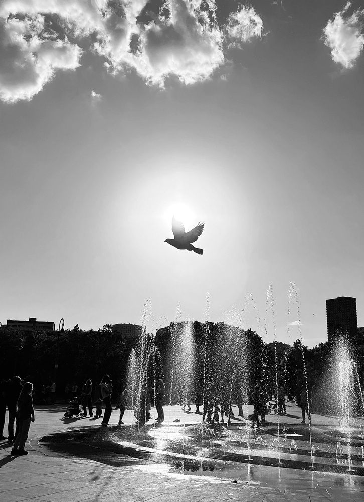 Photograph by Олег Лебедев
