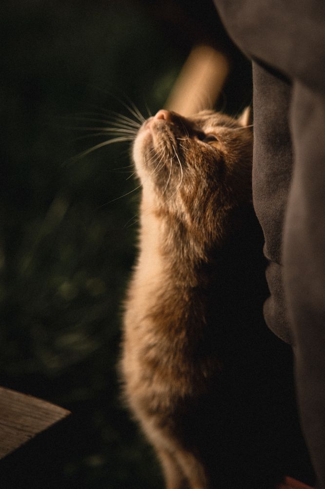 Photograph by Инна Тычная