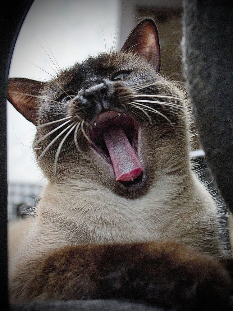 Photograph by Эльвира Лазарева