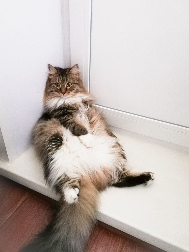 Photograph by Елена Николайчук