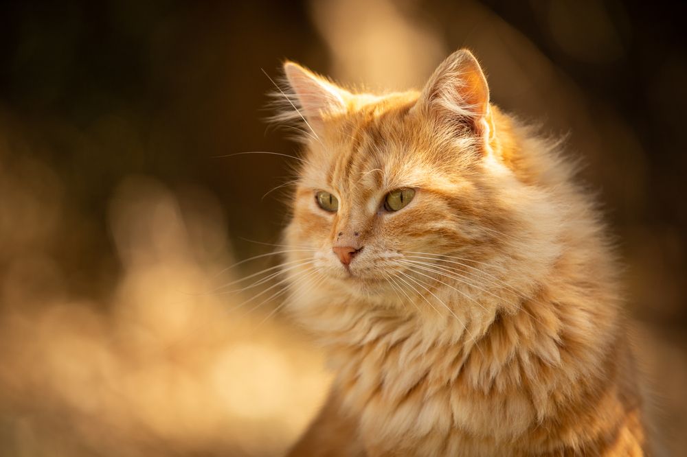 Тёплая улыбка