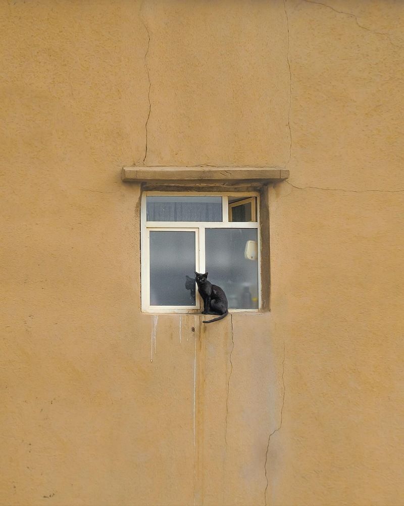 Photograph by keyhan maserat